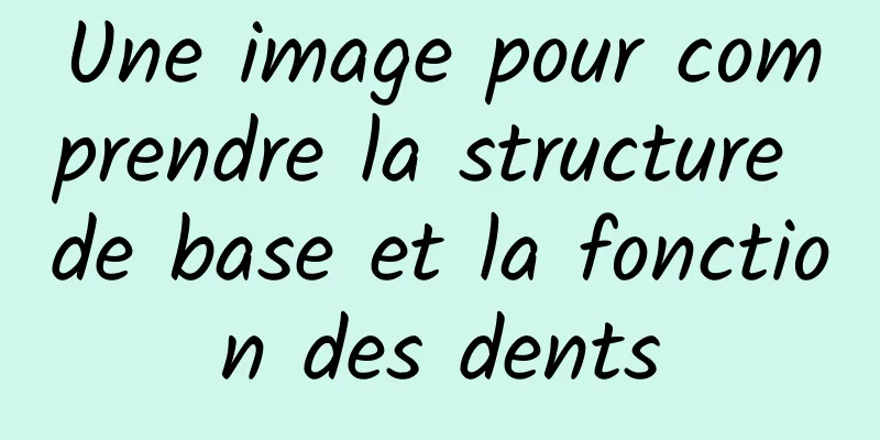Une image pour comprendre la structure de base et la fonction des dents