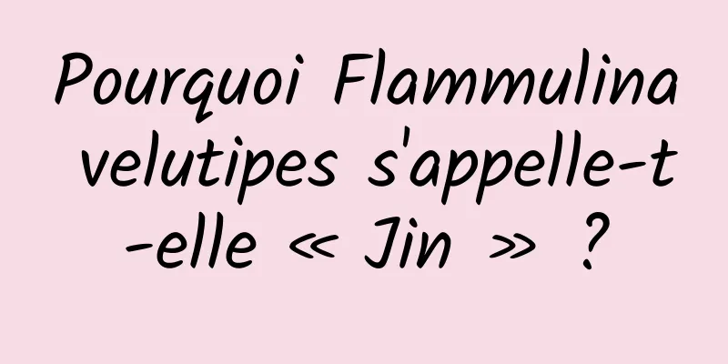Pourquoi Flammulina velutipes s'appelle-t-elle « Jin » ?