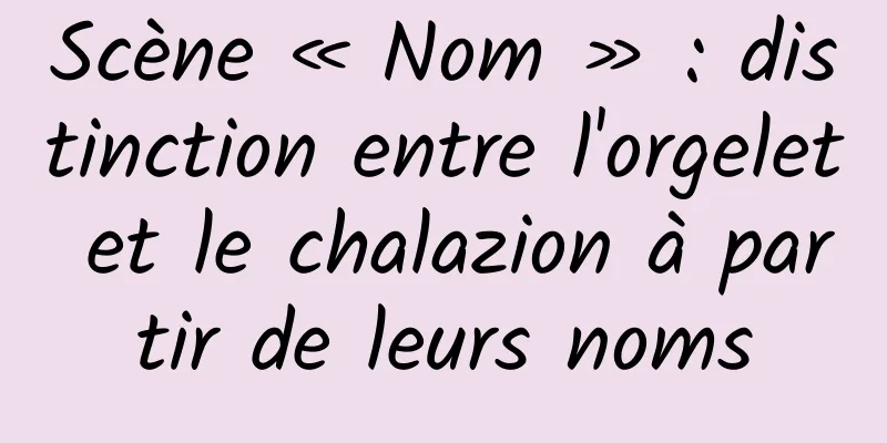 Scène « Nom » : distinction entre l'orgelet et le chalazion à partir de leurs noms