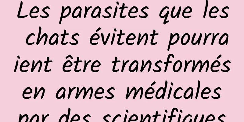 Les parasites que les chats évitent pourraient être transformés en armes médicales par des scientifiques