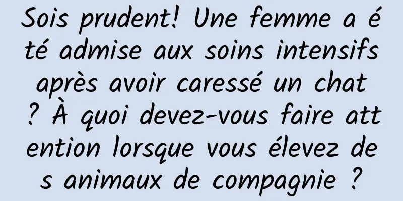 Sois prudent! Une femme a été admise aux soins intensifs après avoir caressé un chat ? À quoi devez-vous faire attention lorsque vous élevez des animaux de compagnie ?