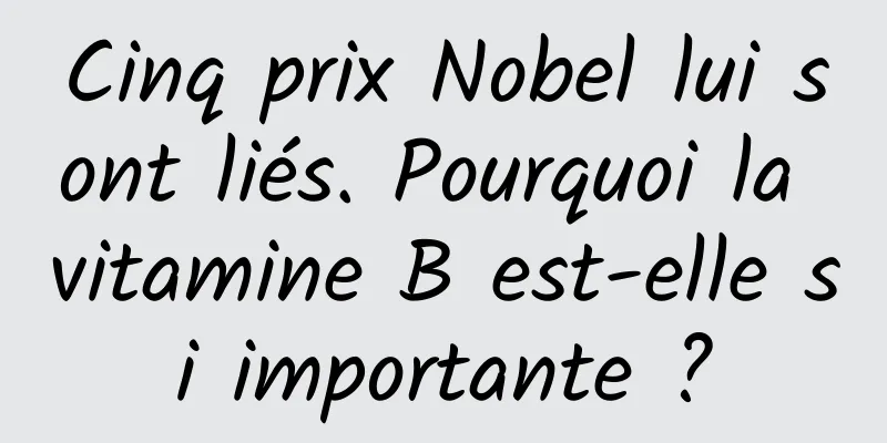 Cinq prix Nobel lui sont liés. Pourquoi la vitamine B est-elle si importante ?
