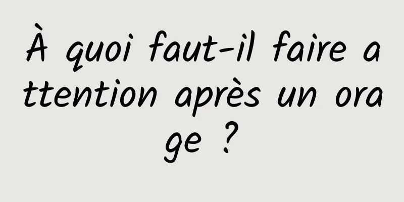 À quoi faut-il faire attention après un orage ?
