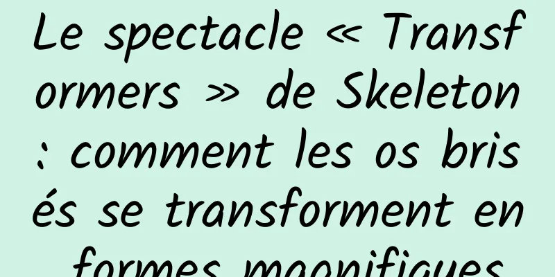 Le spectacle « Transformers » de Skeleton : comment les os brisés se transforment en formes magnifiques