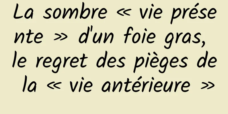La sombre « vie présente » d'un foie gras, le regret des pièges de la « vie antérieure »