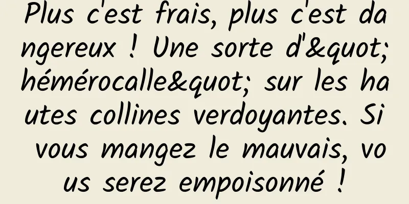 Plus c'est frais, plus c'est dangereux ! Une sorte d'"hémérocalle" sur les hautes collines verdoyantes. Si vous mangez le mauvais, vous serez empoisonné !