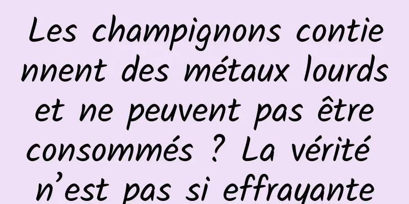 Les champignons contiennent des métaux lourds et ne peuvent pas être consommés ? La vérité n’est pas si effrayante
