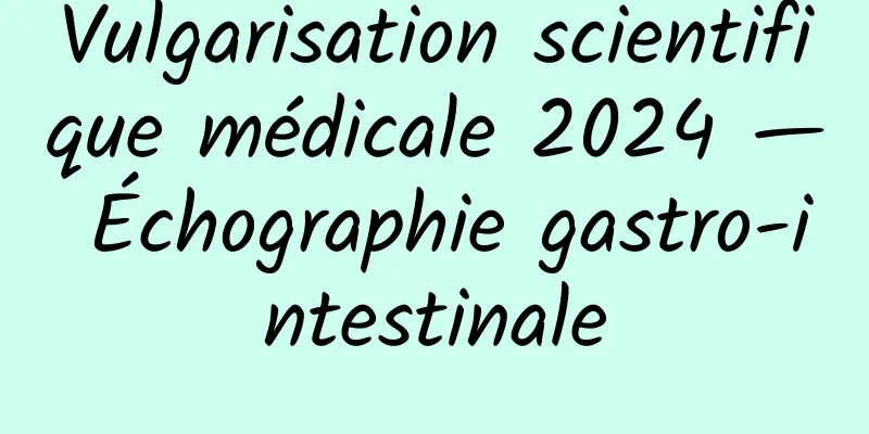 Vulgarisation scientifique médicale 2024 — Échographie gastro-intestinale