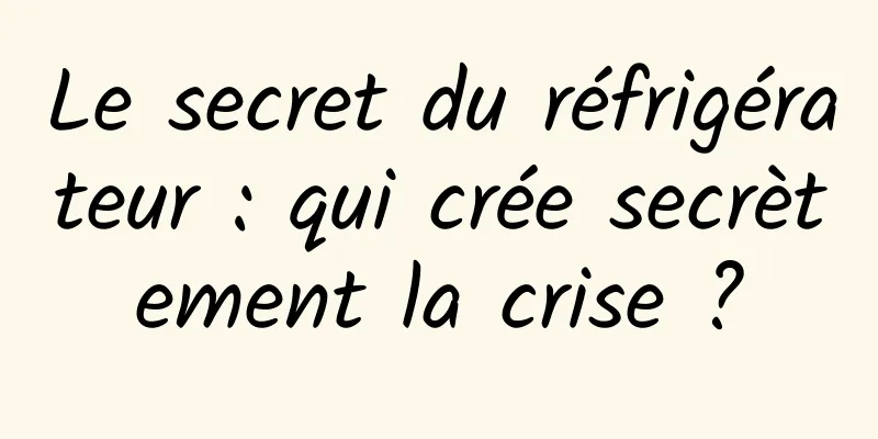 Le secret du réfrigérateur : qui crée secrètement la crise ?
