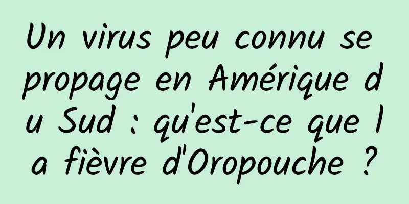 Un virus peu connu se propage en Amérique du Sud : qu'est-ce que la fièvre d'Oropouche ?