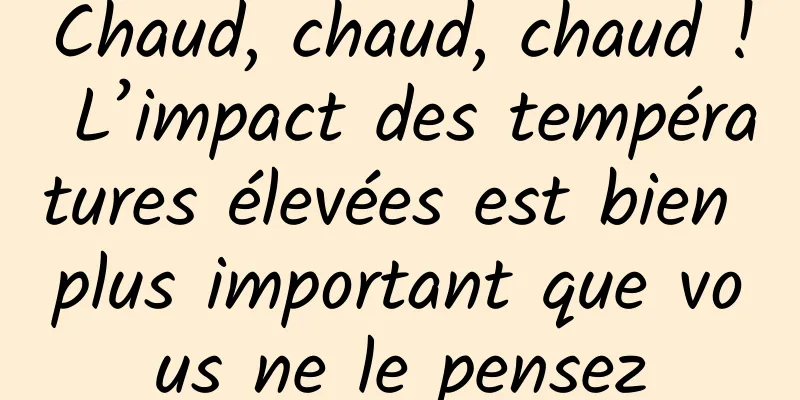 Chaud, chaud, chaud ! L’impact des températures élevées est bien plus important que vous ne le pensez