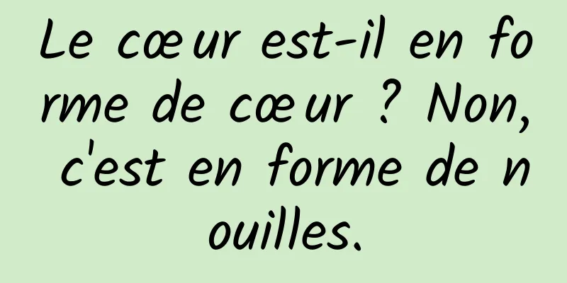 Le cœur est-il en forme de cœur ? Non, c'est en forme de nouilles.