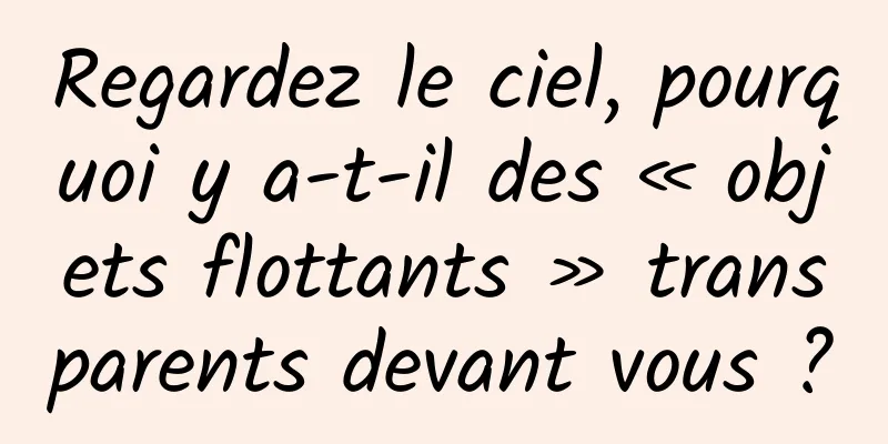 Regardez le ciel, pourquoi y a-t-il des « objets flottants » transparents devant vous ?