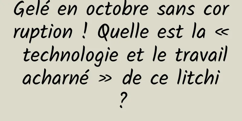 Gelé en octobre sans corruption ! Quelle est la « technologie et le travail acharné » de ce litchi ?