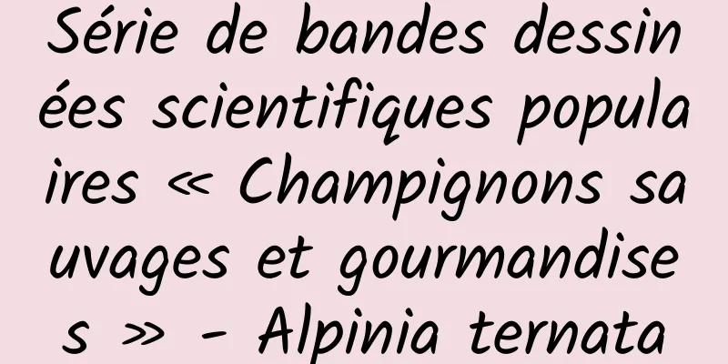 Série de bandes dessinées scientifiques populaires « Champignons sauvages et gourmandises » - Alpinia ternata