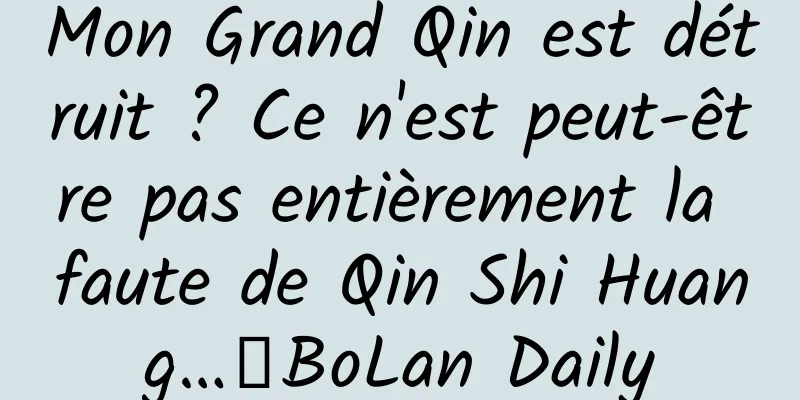 Mon Grand Qin est détruit ? Ce n'est peut-être pas entièrement la faute de Qin Shi Huang…｜BoLan Daily