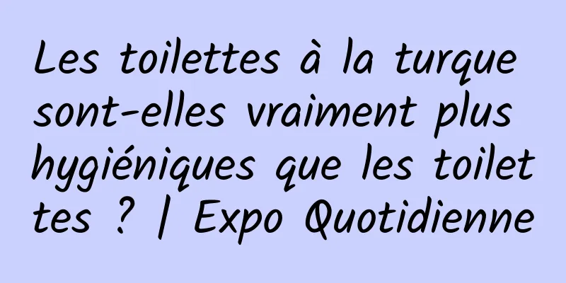Les toilettes à la turque sont-elles vraiment plus hygiéniques que les toilettes ? | Expo Quotidienne