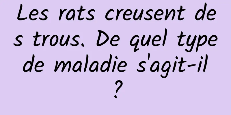 Les rats creusent des trous. De quel type de maladie s'agit-il ?
