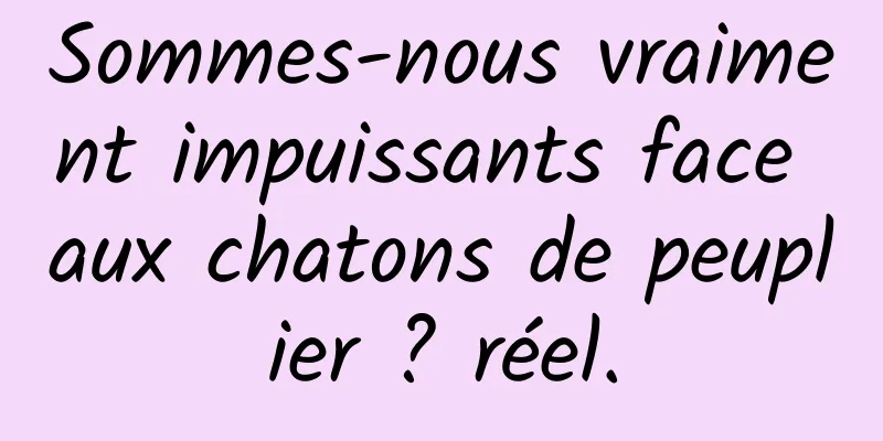 Sommes-nous vraiment impuissants face aux chatons de peuplier ? réel.