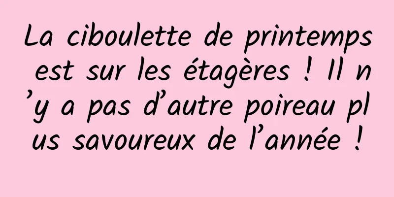 La ciboulette de printemps est sur les étagères ! Il n’y a pas d’autre poireau plus savoureux de l’année !