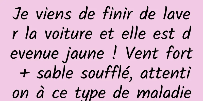 Je viens de finir de laver la voiture et elle est devenue jaune ! Vent fort + sable soufflé, attention à ce type de maladie
