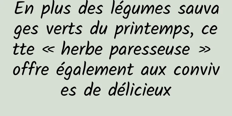 En plus des légumes sauvages verts du printemps, cette « herbe paresseuse » offre également aux convives de délicieux
