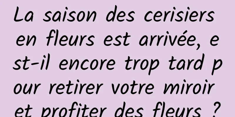 La saison des cerisiers en fleurs est arrivée, est-il encore trop tard pour retirer votre miroir et profiter des fleurs ?