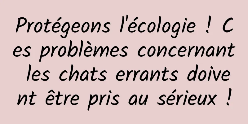 Protégeons l'écologie ! Ces problèmes concernant les chats errants doivent être pris au sérieux !