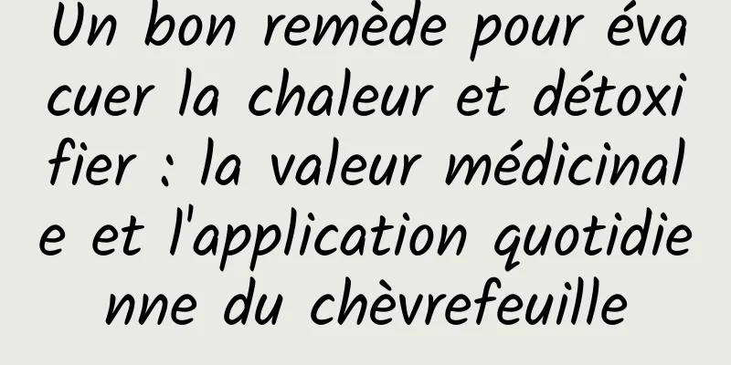 Un bon remède pour évacuer la chaleur et détoxifier : la valeur médicinale et l'application quotidienne du chèvrefeuille