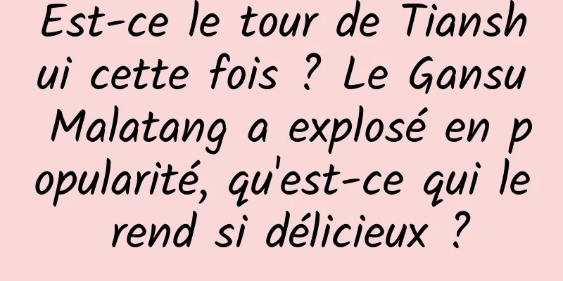 Est-ce le tour de Tianshui cette fois ? Le Gansu Malatang a explosé en popularité, qu'est-ce qui le rend si délicieux ?