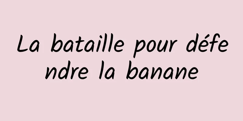 La bataille pour défendre la banane