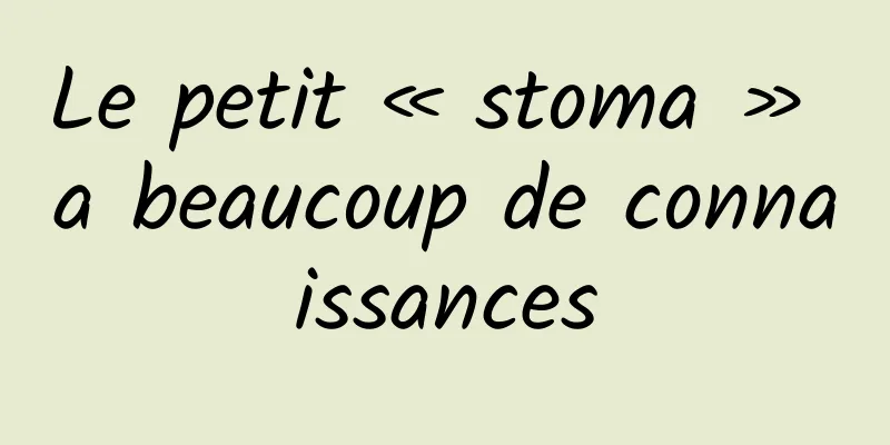 Le petit « stoma » a beaucoup de connaissances