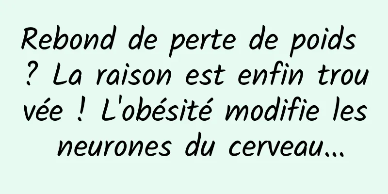 Rebond de perte de poids ? La raison est enfin trouvée ! L'obésité modifie les neurones du cerveau...