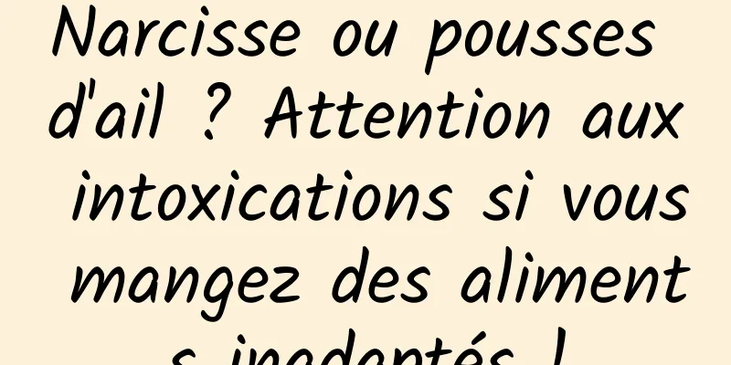 Narcisse ou pousses d'ail ? Attention aux intoxications si vous mangez des aliments inadaptés !