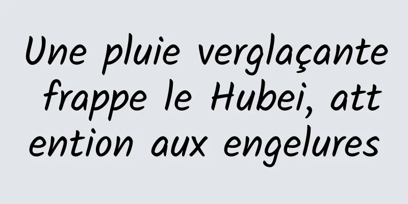 Une pluie verglaçante frappe le Hubei, attention aux engelures