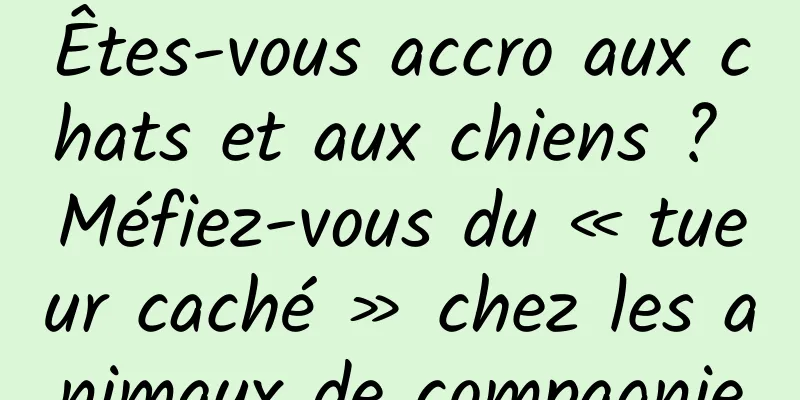 Êtes-vous accro aux chats et aux chiens ? Méfiez-vous du « tueur caché » chez les animaux de compagnie