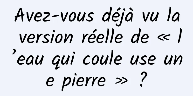 Avez-vous déjà vu la version réelle de « l’eau qui coule use une pierre » ?