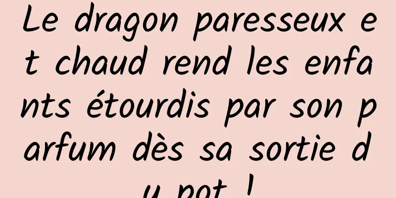 Le dragon paresseux et chaud rend les enfants étourdis par son parfum dès sa sortie du pot !