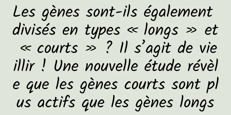 Les gènes sont-ils également divisés en types « longs » et « courts » ? Il s’agit de vieillir ! Une nouvelle étude révèle que les gènes courts sont plus actifs que les gènes longs
