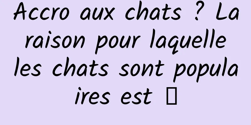 Accro aux chats ? La raison pour laquelle les chats sont populaires est →