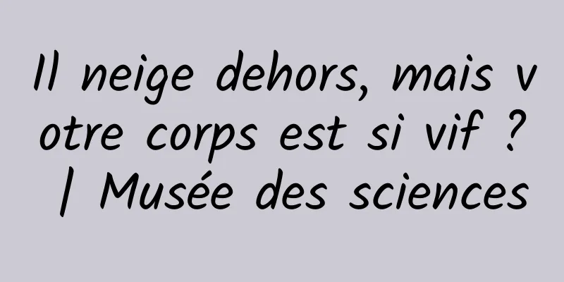Il neige dehors, mais votre corps est si vif ? | Musée des sciences