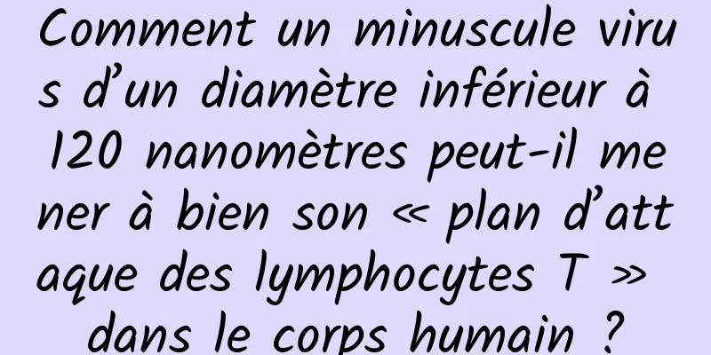 Comment un minuscule virus d’un diamètre inférieur à 120 nanomètres peut-il mener à bien son « plan d’attaque des lymphocytes T » dans le corps humain ?