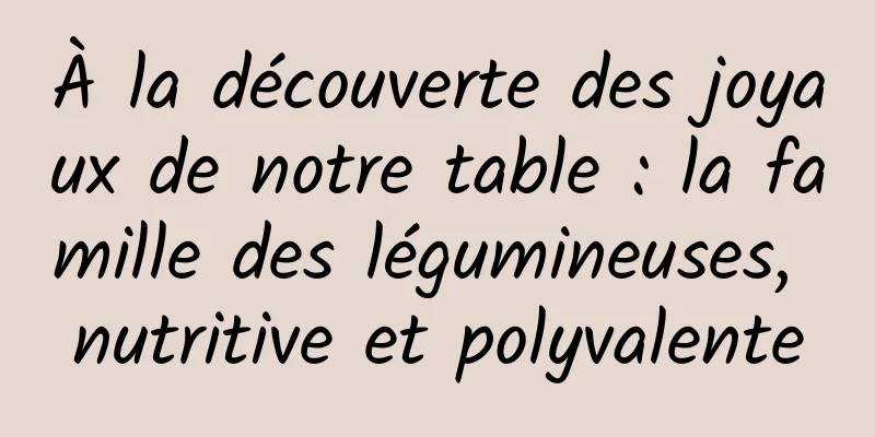 À la découverte des joyaux de notre table : la famille des légumineuses, nutritive et polyvalente