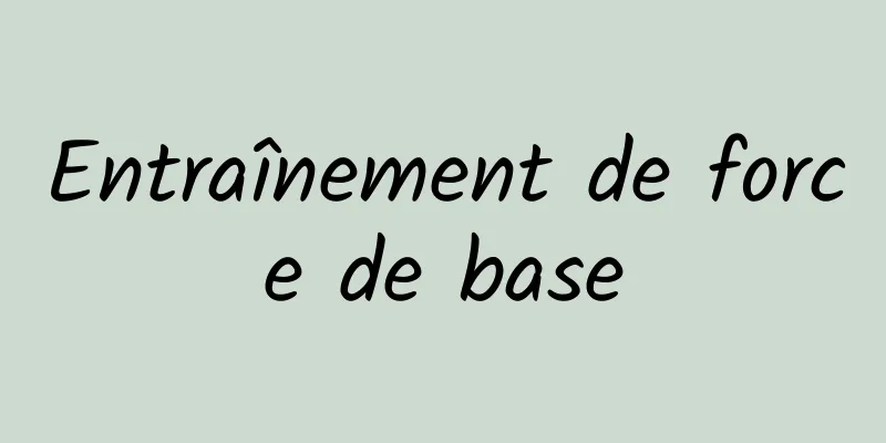 Entraînement de force de base
