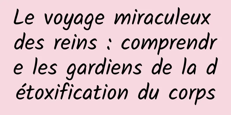 Le voyage miraculeux des reins : comprendre les gardiens de la détoxification du corps