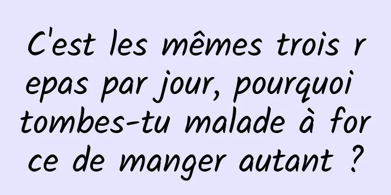 C'est les mêmes trois repas par jour, pourquoi tombes-tu malade à force de manger autant ?