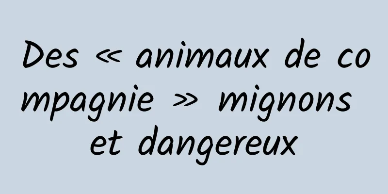 Des « animaux de compagnie » mignons et dangereux
