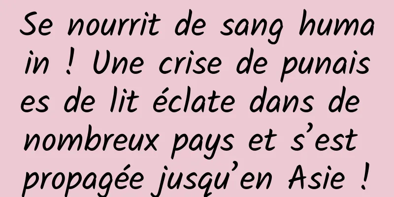 Se nourrit de sang humain ! Une crise de punaises de lit éclate dans de nombreux pays et s’est propagée jusqu’en Asie !
