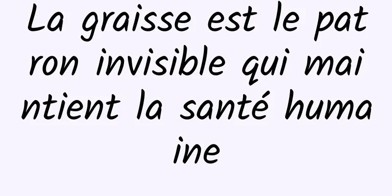La graisse est le patron invisible qui maintient la santé humaine