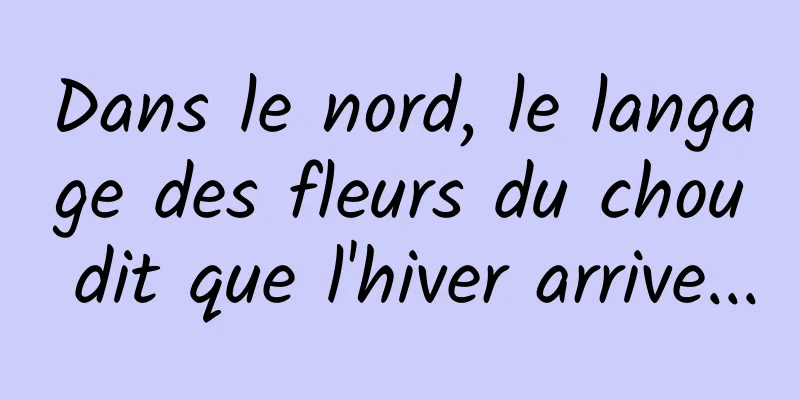 Dans le nord, le langage des fleurs du chou dit que l'hiver arrive...